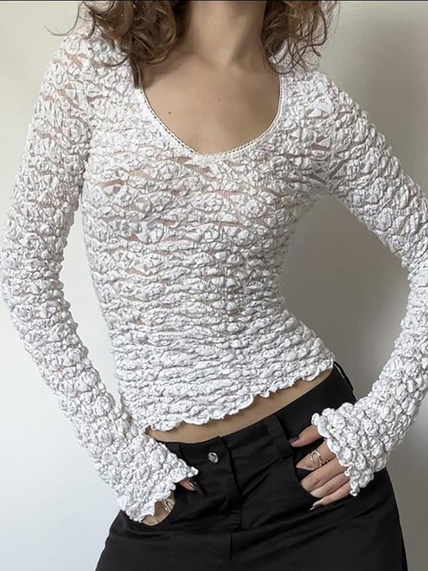 Lace Trim V Neck  Long Sleeve Crop Top