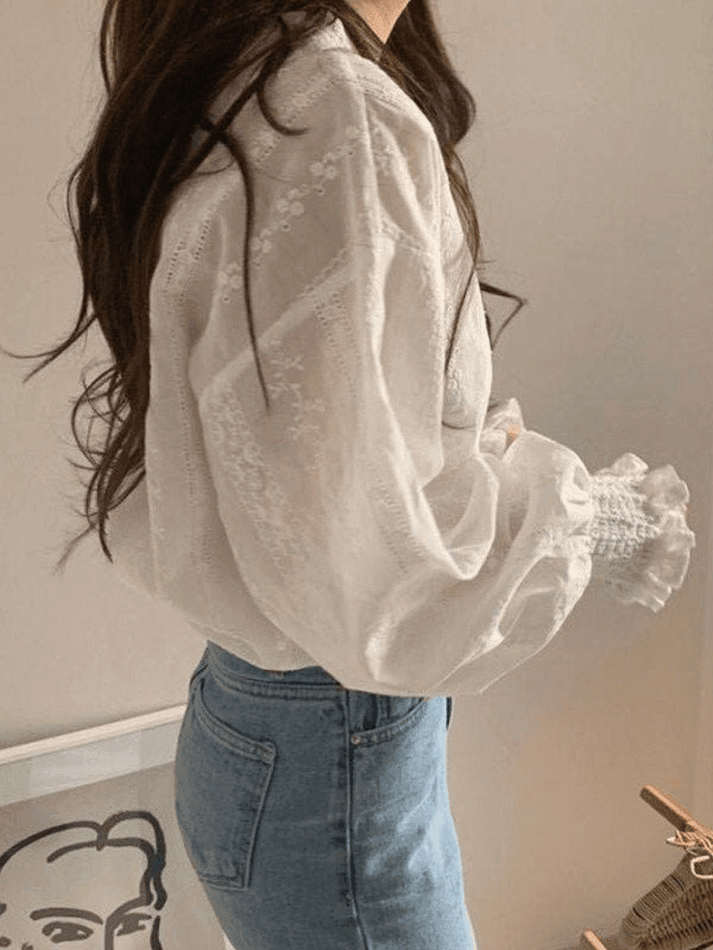 Crochet Lace Long Sleeve Blouse - AnotherChill