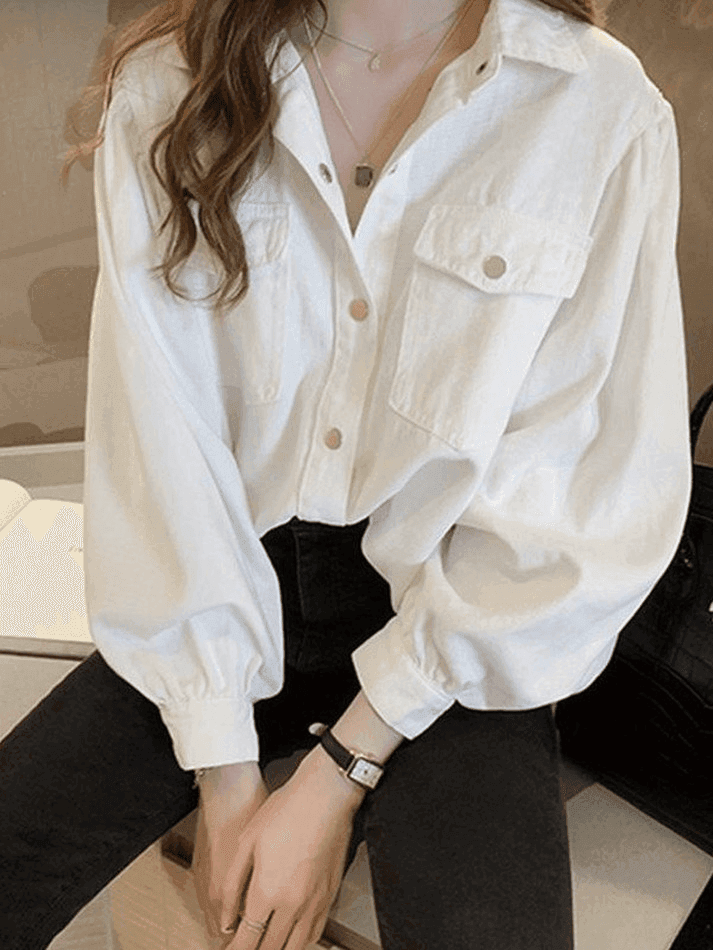 Pleated Oversized Long Sleeve Blouse - AnotherChill