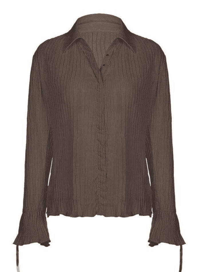 Semi Sheer Long Sleeve Pleated Blouse - AnotherChill